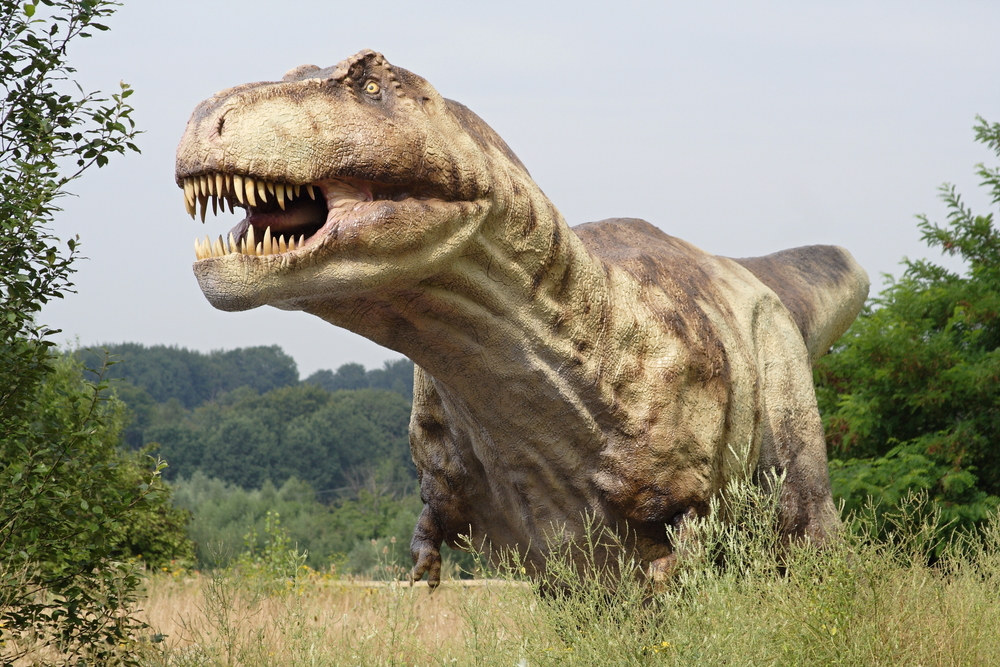 But what's most breathtaking about T rex was that it was at one point 
